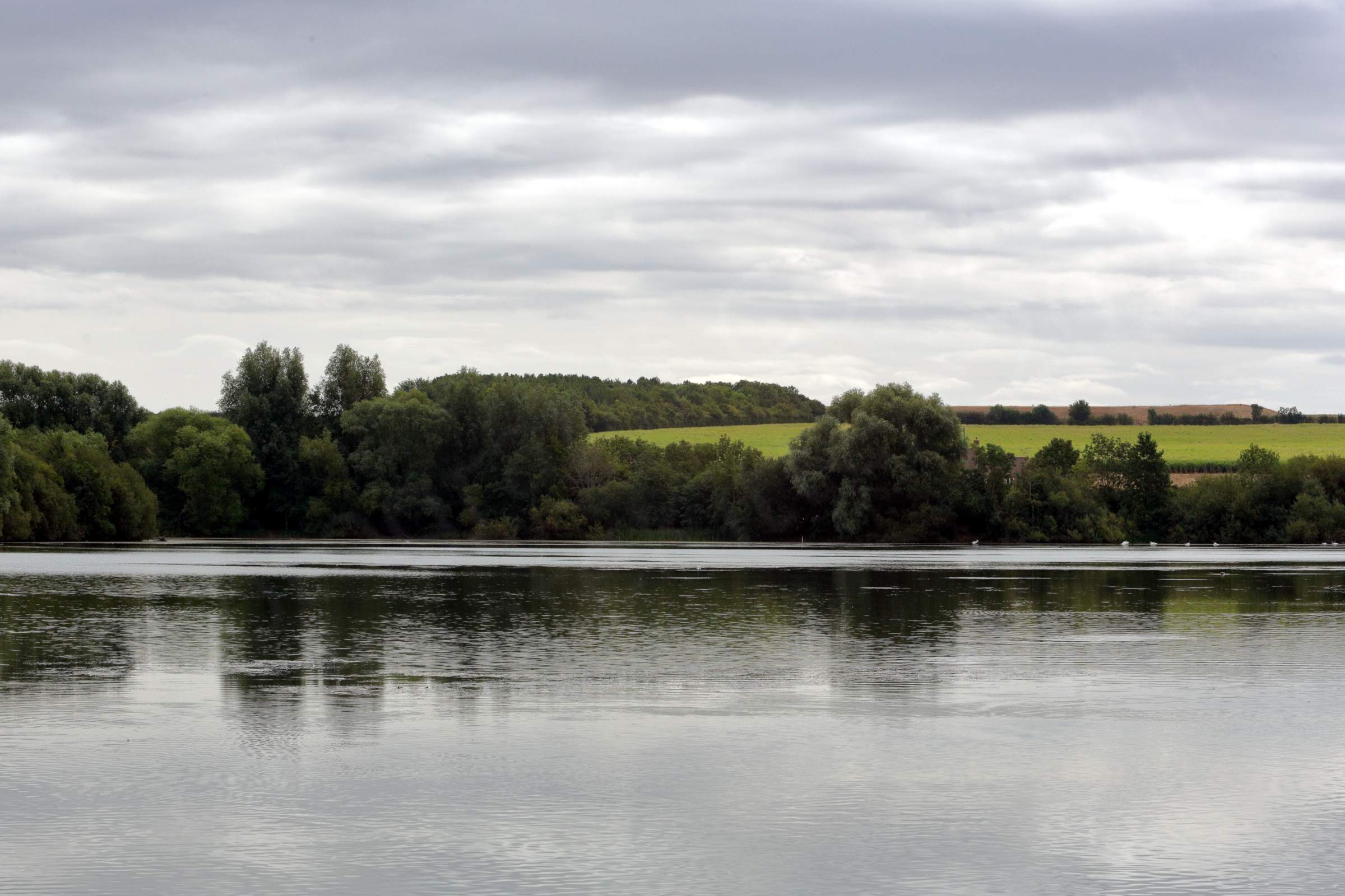 A view over Kinewell Lake with trees and fields on the far side all under an overcast grey sky.