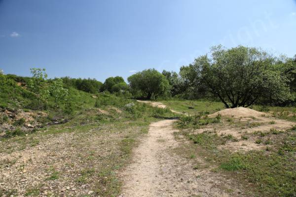 A bright blue sky looks over an old quarry with lush green trees in the background and the foreground is primarily loose stone interspersed with small plants. 