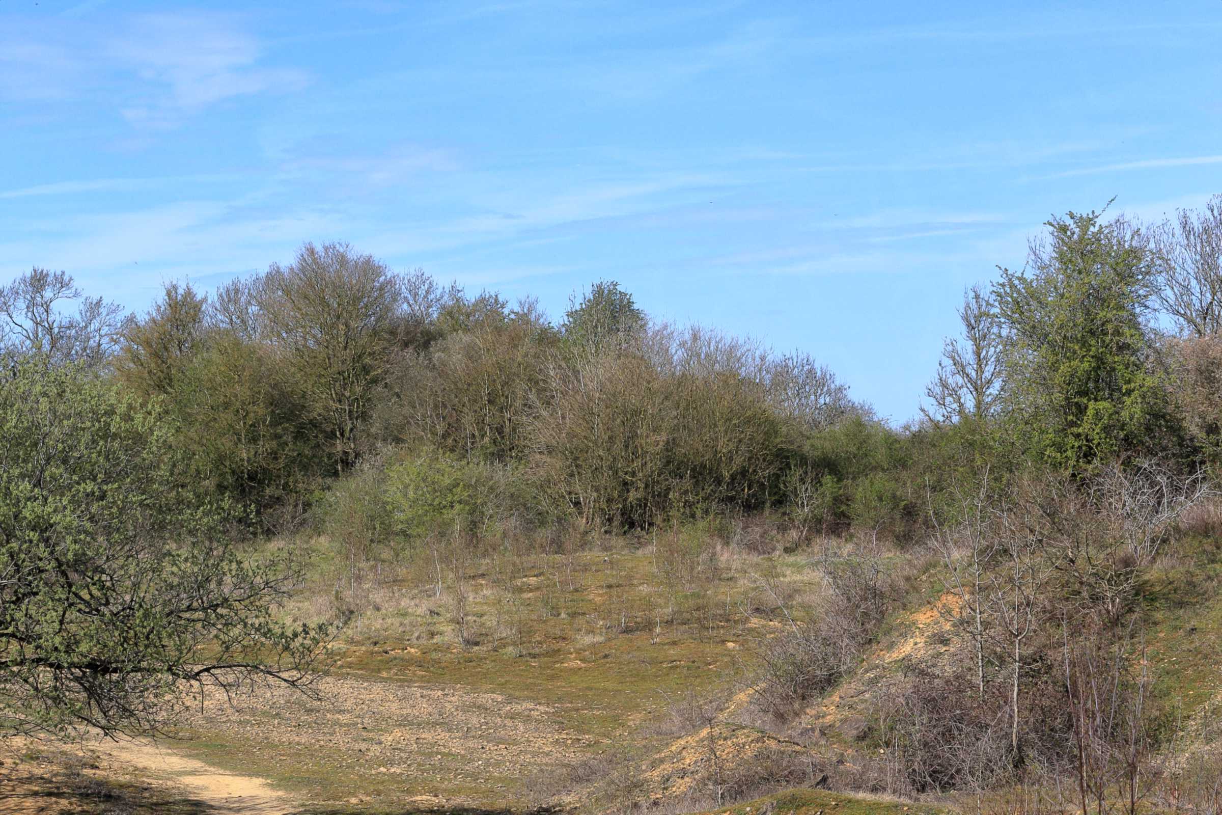 A view over part of the Nature Reserve with rocky sparsely vegetated ground surrounded by trees just turning green on the higher ground.