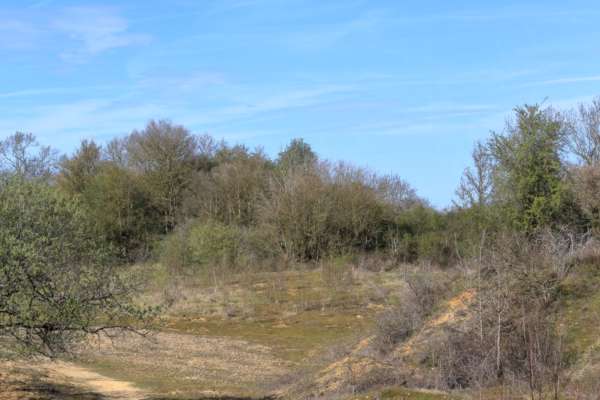 A view over part of the Nature Reserve with rocky sparsely vegetated ground surrounded by trees just turning green on the higher ground.