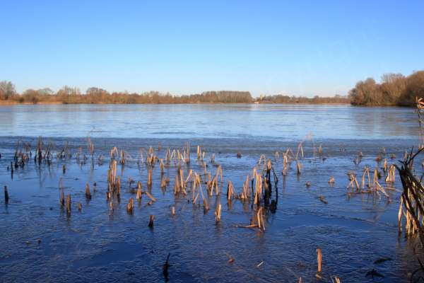 A deep blue coloured frozen lake with golden reeds in the foreground and on the far bank is Aldwinkle Church.